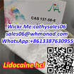 99.9% Purity of Lidocaine HCl for Pain Free CAS 137-58-6 zdjęcie 1