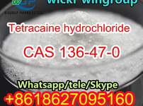 Hot selling Tetracaine hydrochloride CAS 136-47-0 safe shipping to Brazil whatsapp+861862709516