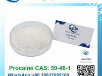 Procaine Hci CAS 51-05-8 CAS 59-46-1 Procaine suppliers from China