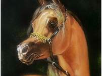 Portret konia - olej na płótnie