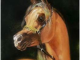 Portret konia - olej na płótnie