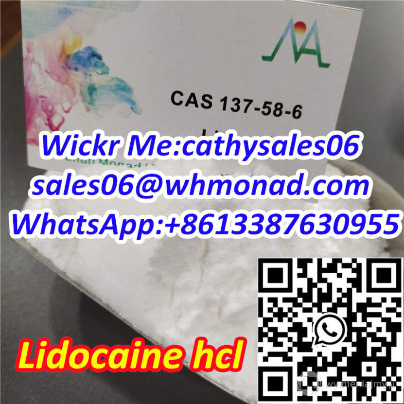 99.9% Purity of Lidocaine HCl for Pain Free CAS 137-58-6 zdjęcie 1